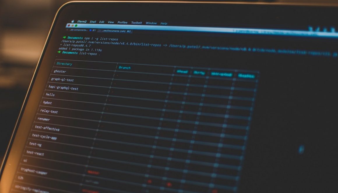 pankaj-patel-515219-unsplash